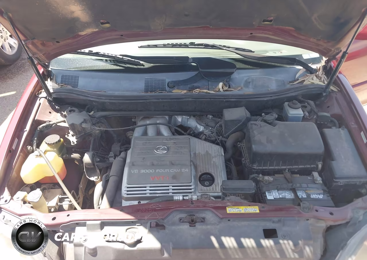 2000 Lexus Rx 300 VIN:JT6HF10U8Y0130413 - 10
