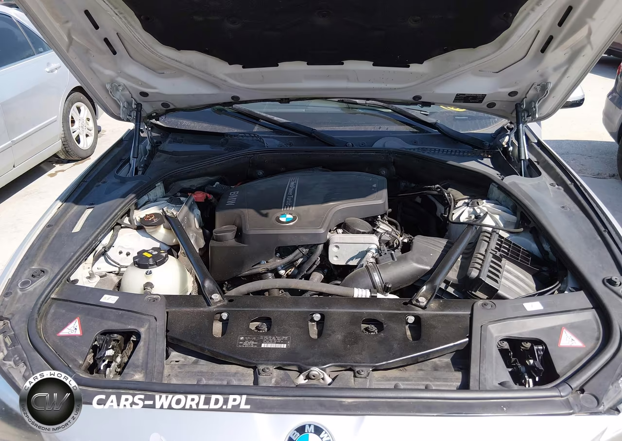 2014 BMW 528I VIN:WBA5A5C52ED504909 - 10