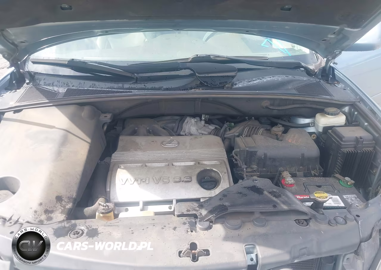 2005 Lexus Rx 330 VIN:2T2GA31U25C040233 - 10