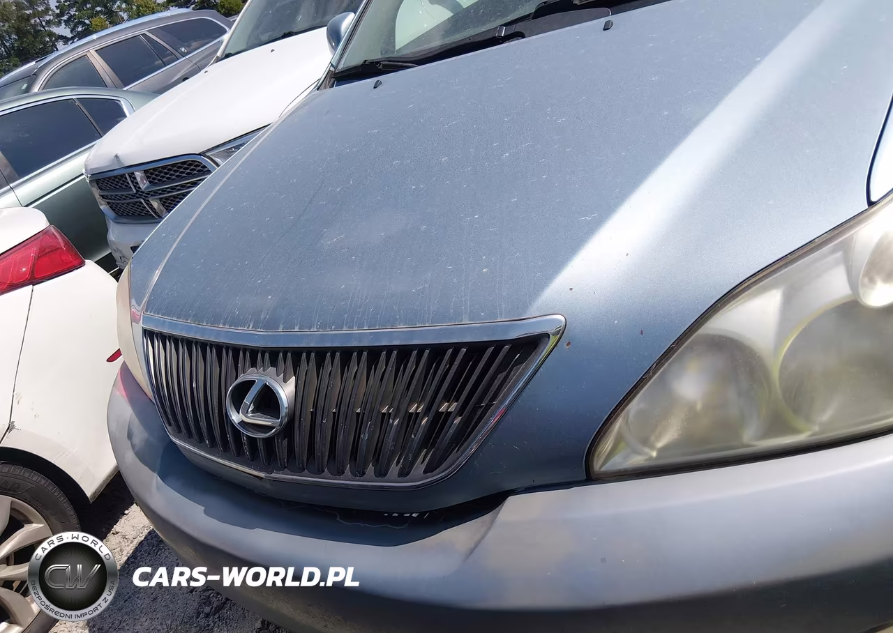 2005 Lexus Rx 330 VIN:2T2GA31U25C040233 - 6