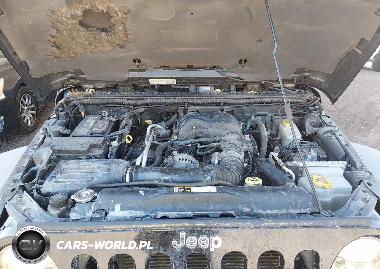 2014 Jeep Wrangler Unlimited Rubicon VIN:1C4BJWFG1EL278053 - 10