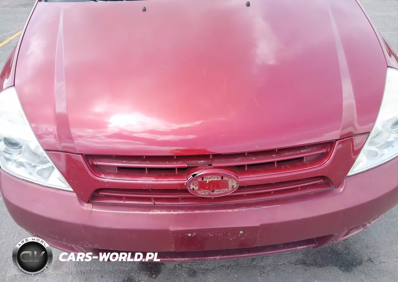 2008 Kia Sedona Lx VIN:KNDMB233886254545 - 6