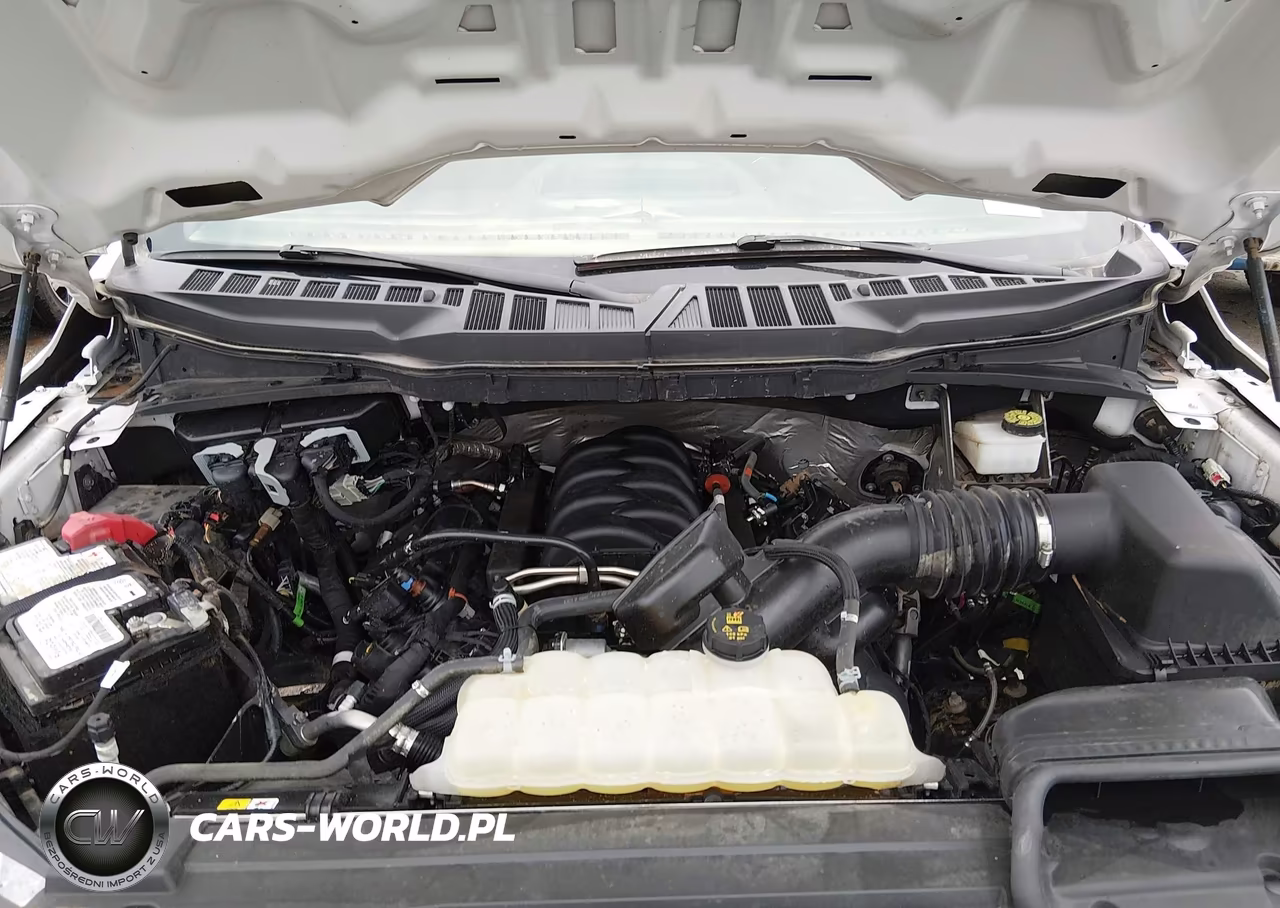 2023 Ford F-150 Xl VIN:1FTFX1E52PKF94718 - 10