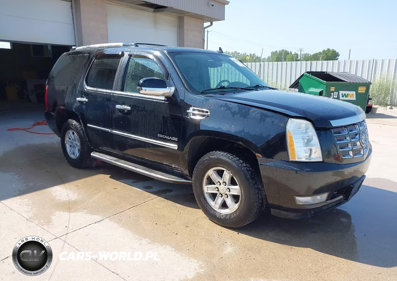 2010 Cadillac Escalade Luxury VIN:1GYUKBEF7AR150831 - 1