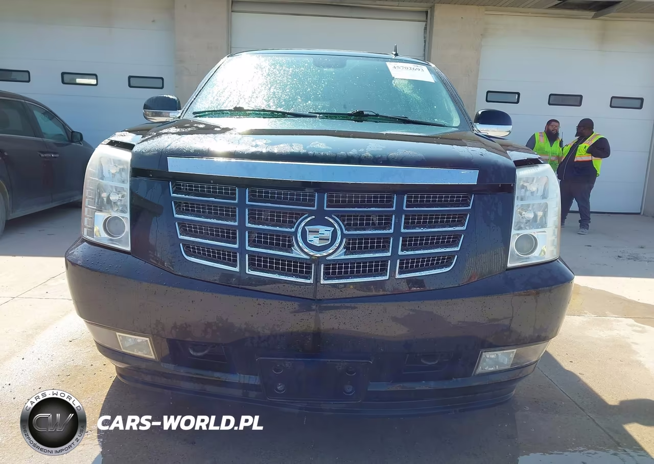 2010 Cadillac Escalade Luxury VIN:1GYUKBEF7AR150831 - 12