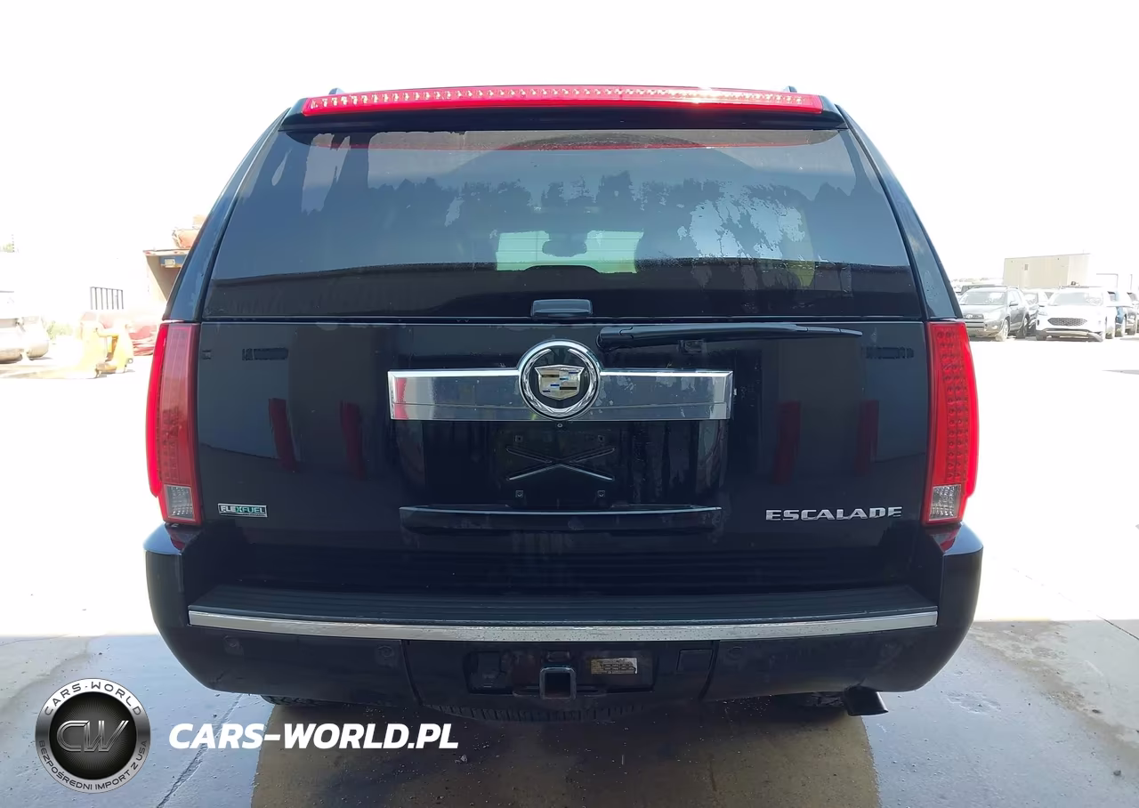 2010 Cadillac Escalade Luxury VIN:1GYUKBEF7AR150831 - 16