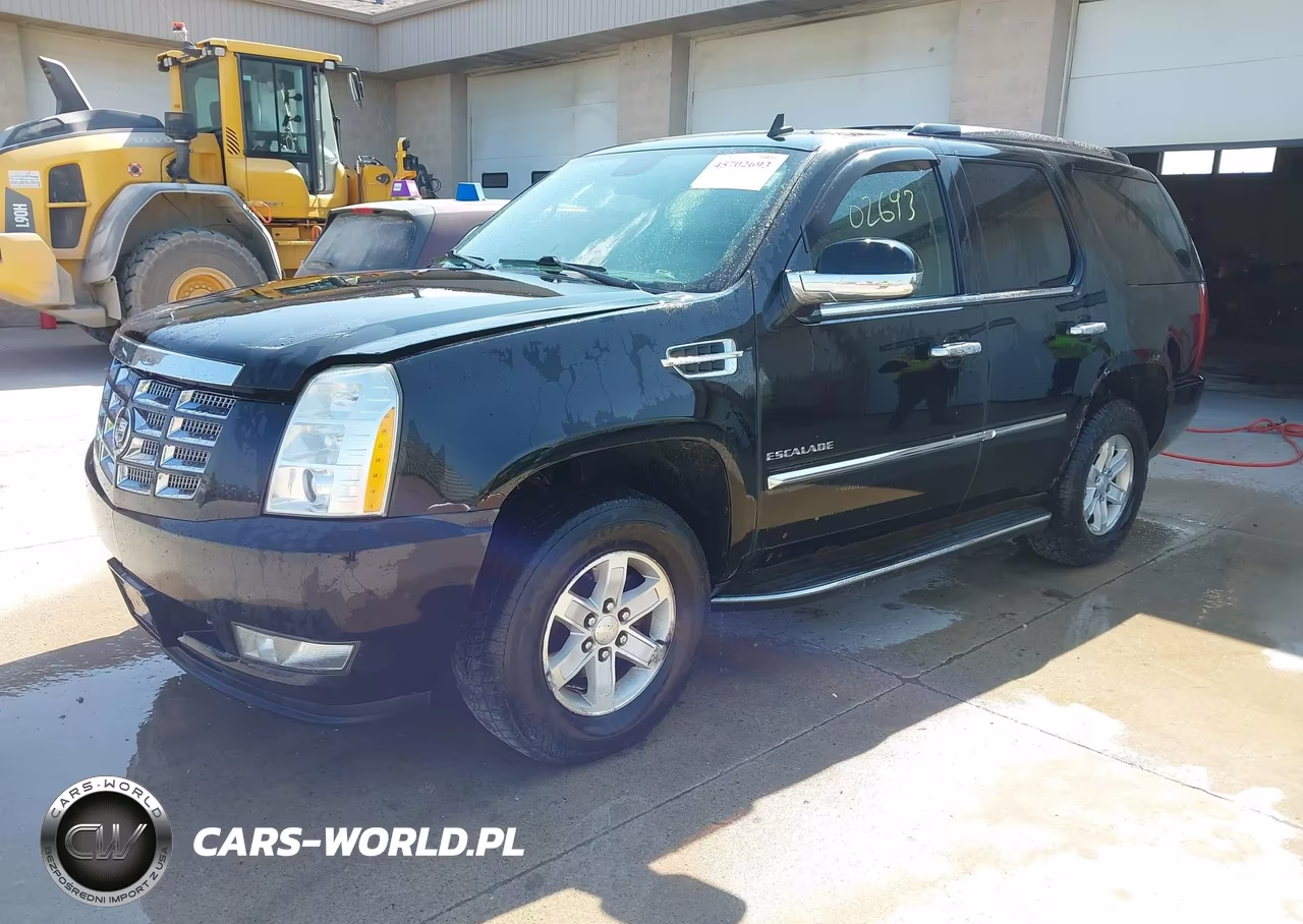2010 Cadillac Escalade Luxury VIN:1GYUKBEF7AR150831 - 2