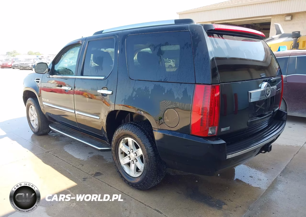 2010 Cadillac Escalade Luxury VIN:1GYUKBEF7AR150831 - 3