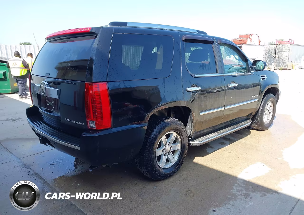 2010 Cadillac Escalade Luxury VIN:1GYUKBEF7AR150831 - 4