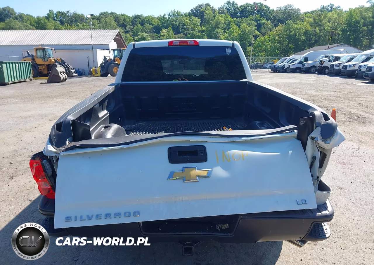 2019 Chevrolet Silverado 1500 Ld Wt VIN:2GCRCNEC6K1131214 - 16
