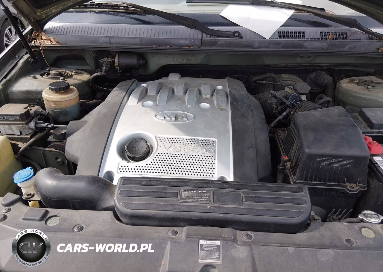 2005 Kia Sedona Ex-Lx VIN:KNDUP131756666249 - 10
