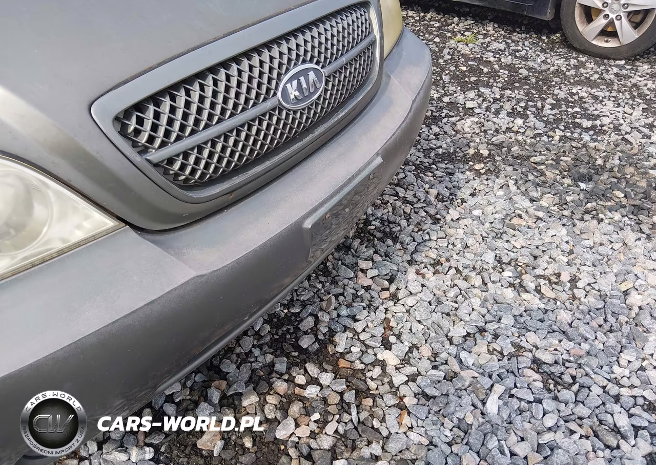 2005 Kia Sedona Ex-Lx VIN:KNDUP131756666249 - 16