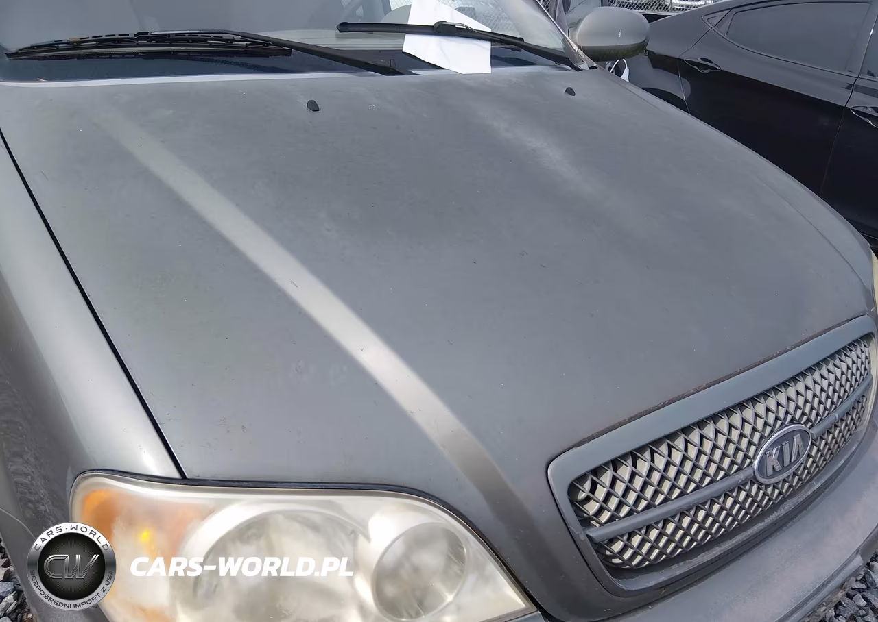 2005 Kia Sedona Ex-Lx VIN:KNDUP131756666249 - 17