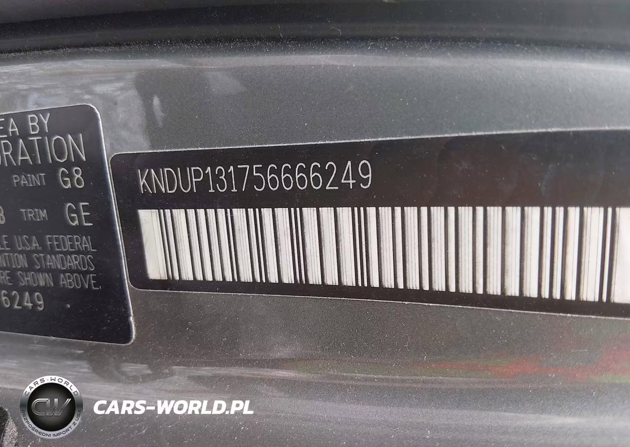 2005 Kia Sedona Ex-Lx VIN:KNDUP131756666249 - 9