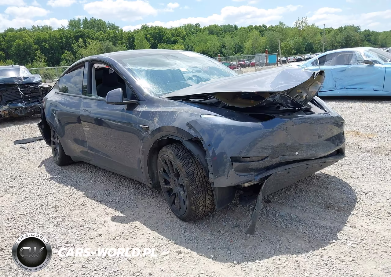 2020 Tesla Model Y Long Range Dual Motor All-Wheel Drive-Performance Dual Motor All-Wheel Drive