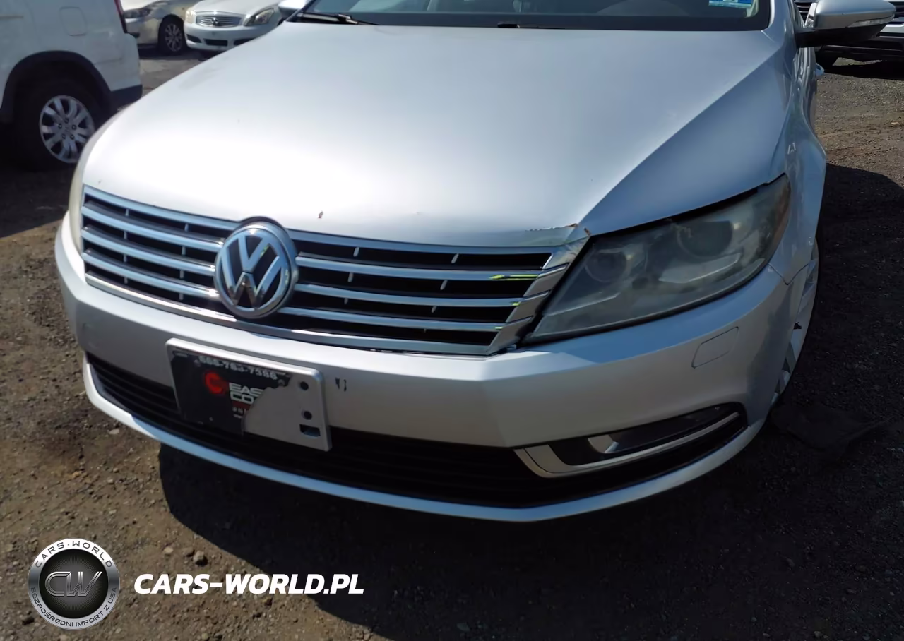 2013 Volkswagen Cc 2.0T Lux VIN:WVWRP7AN9DE554975 - 6