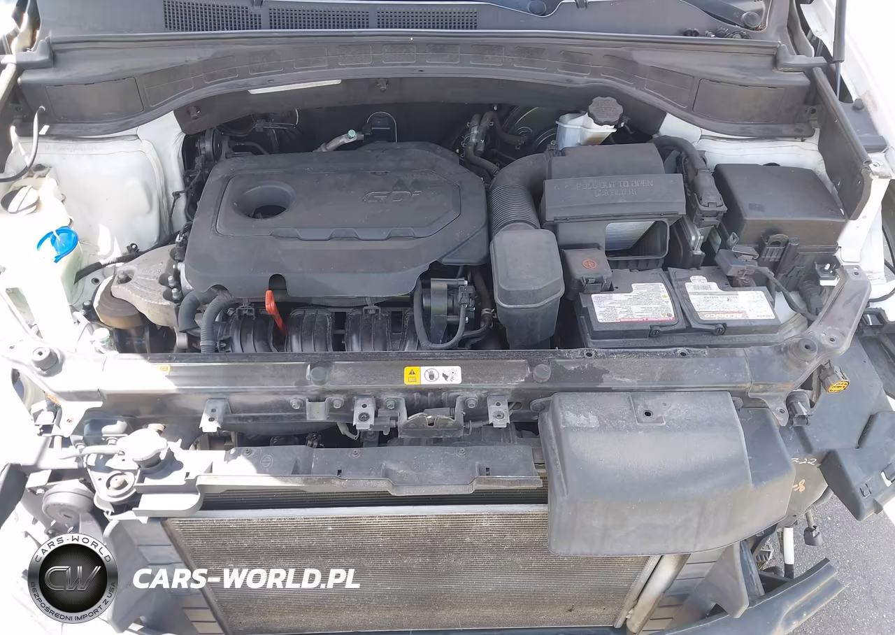2017 Hyundai Santa Fe Sport 2.4L VIN:5NMZU3LB9HH009995 - 10