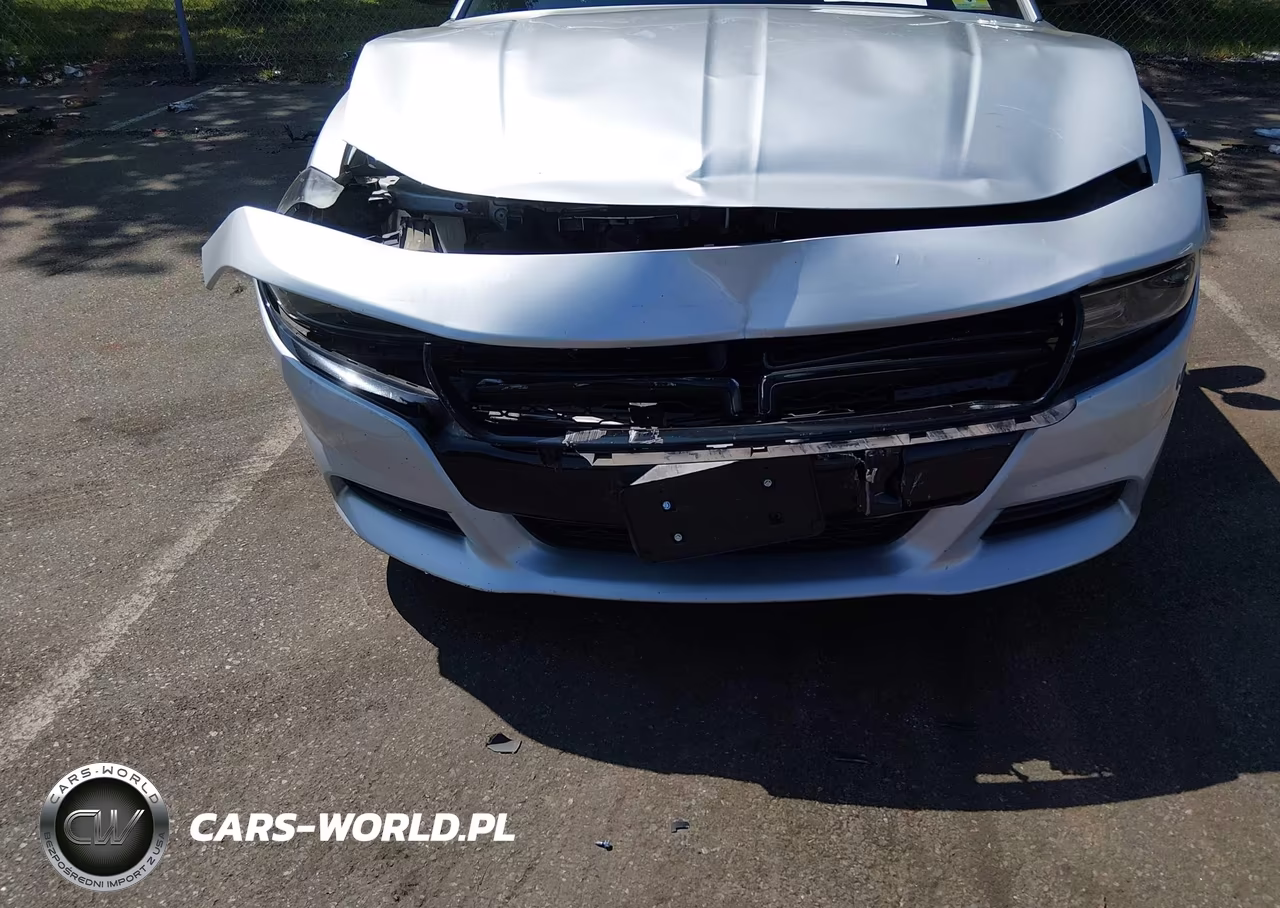 2020 Dodge Charger Police Awd VIN:2C3CDXKT1LH241961 - 6