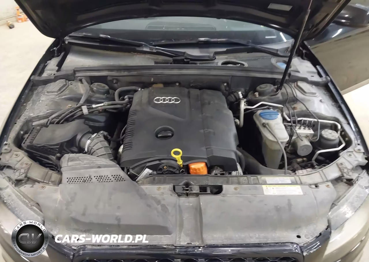 2011 Audi A4 2.0T Premium VIN:WAUBFAFL6BN038690 - 10