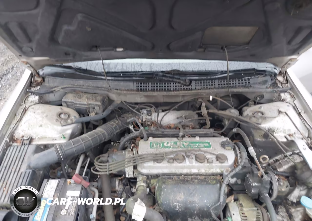 1998 Honda Accord Lx VIN:1HGCG5646WA222921 - 10