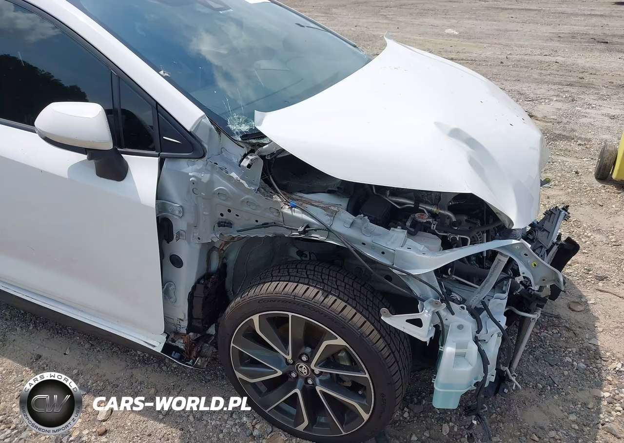 2021 Toyota Corolla Se VIN:JTDP4MCE3MJ065829 - 18