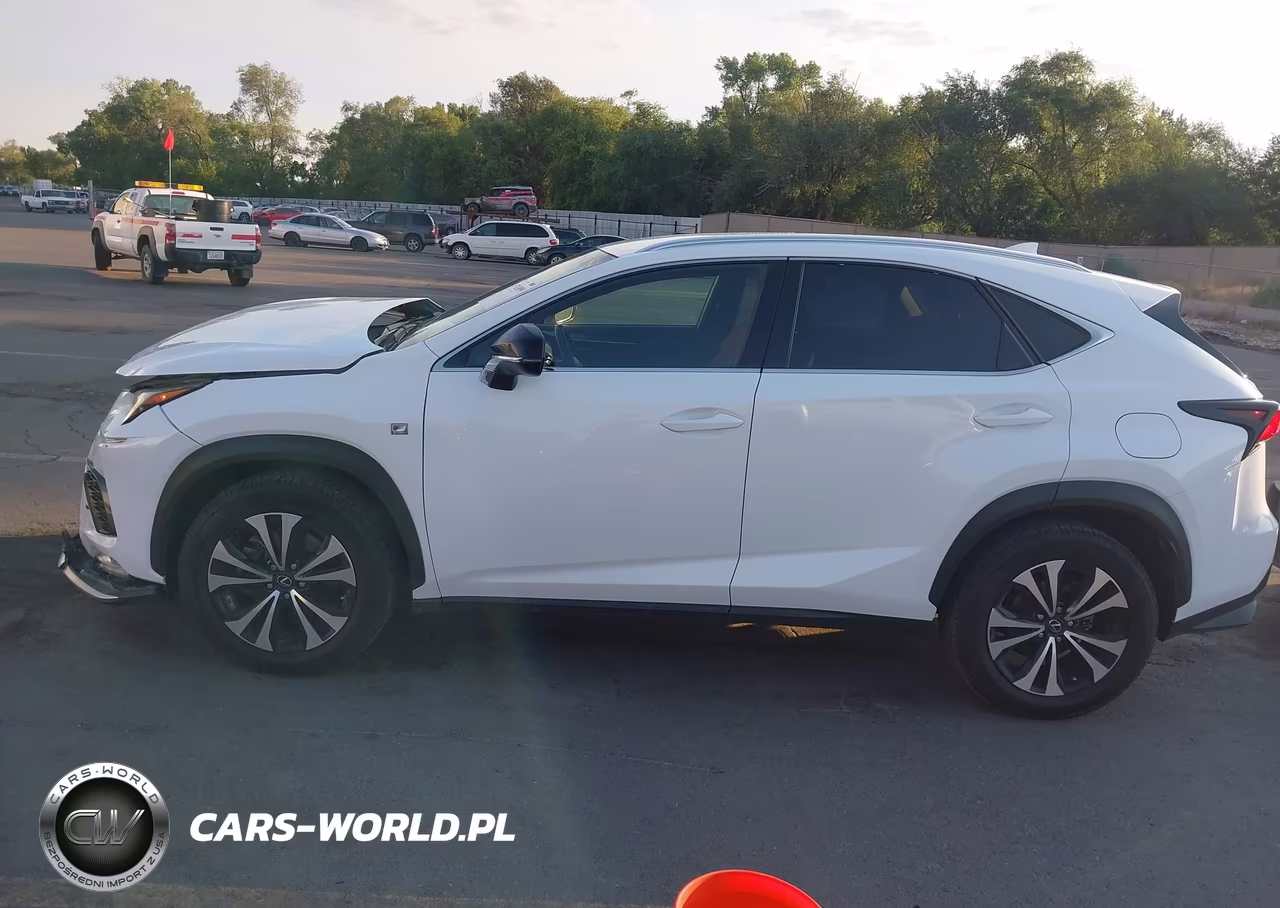 2019 Lexus Nx 300 F Sport VIN:JTJBARBZ1K2183340 - 13