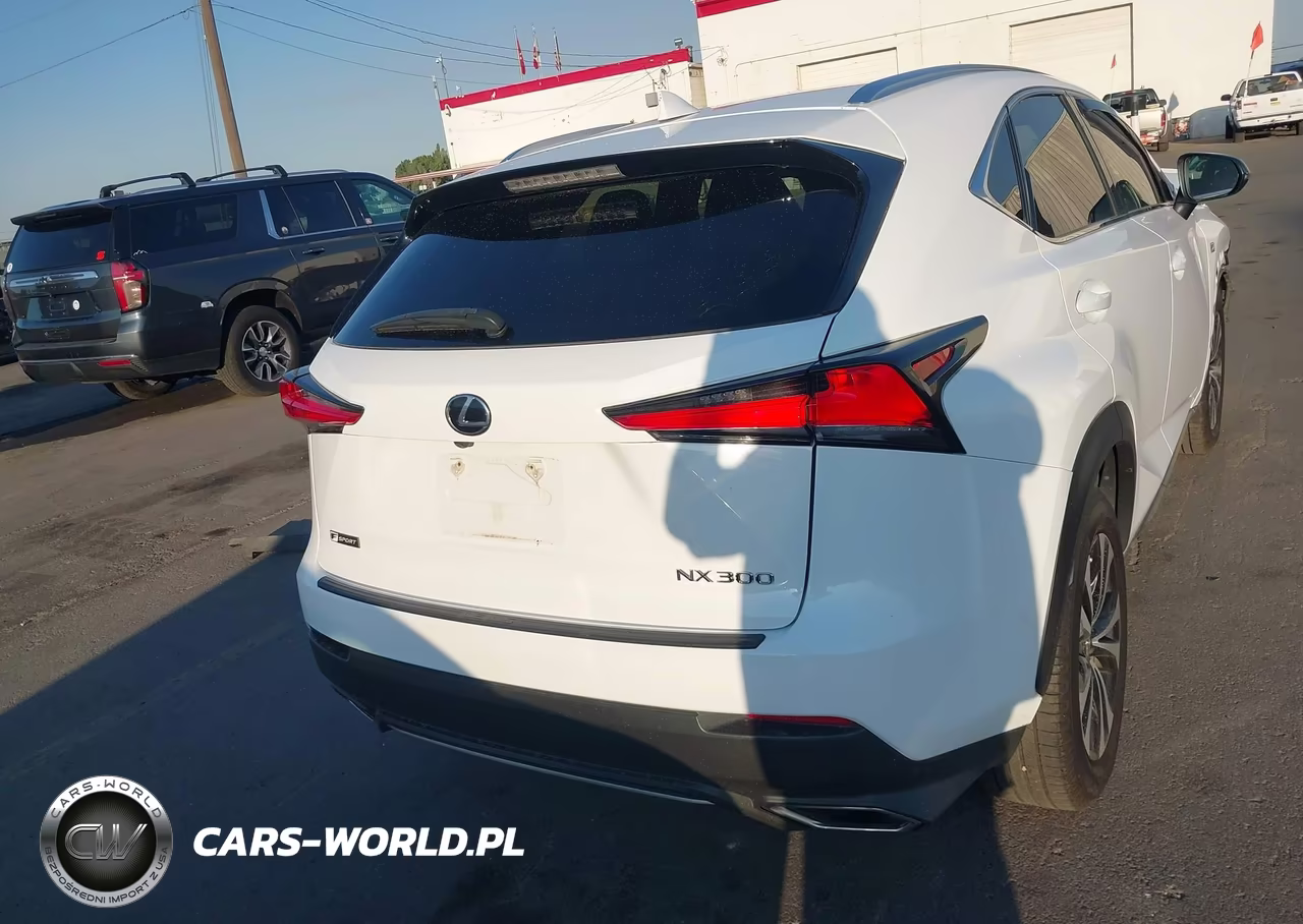 2019 Lexus Nx 300 F Sport VIN:JTJBARBZ1K2183340 - 14
