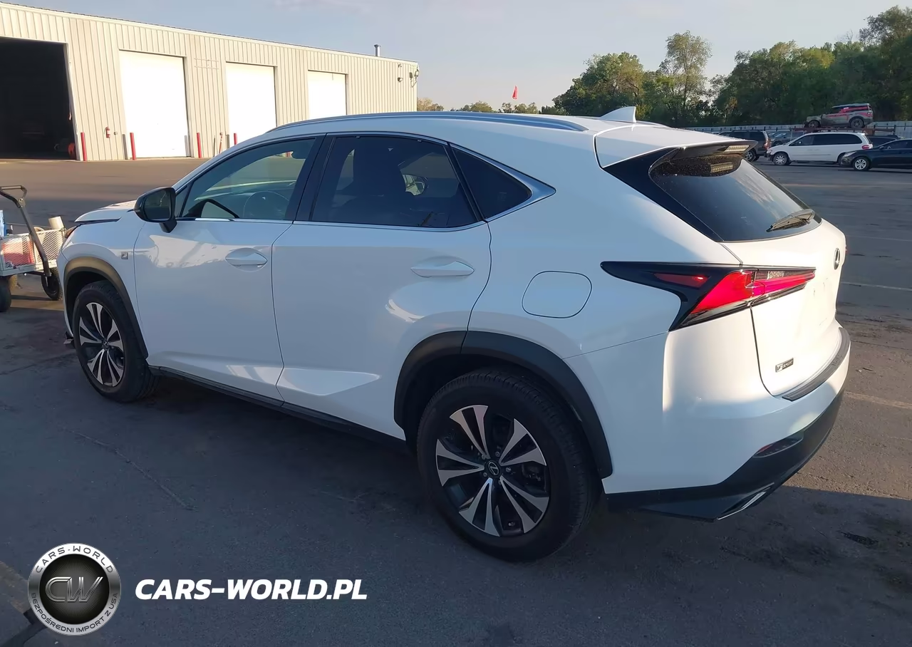 2019 Lexus Nx 300 F Sport VIN:JTJBARBZ1K2183340 - 3