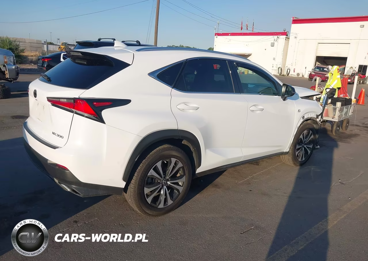 2019 Lexus Nx 300 F Sport VIN:JTJBARBZ1K2183340 - 4
