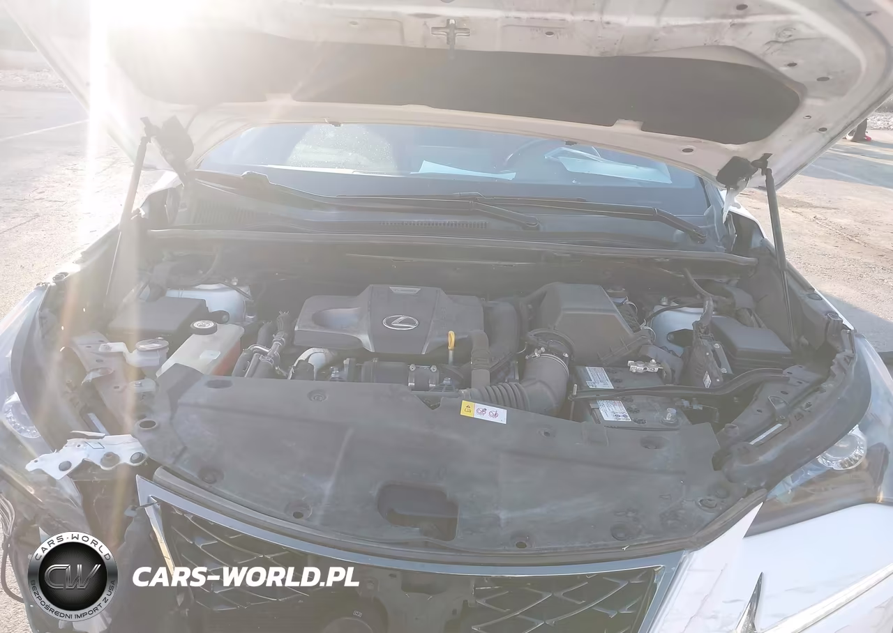 2019 Lexus Nx 300 F Sport VIN:JTJBARBZ1K2183340 - 9