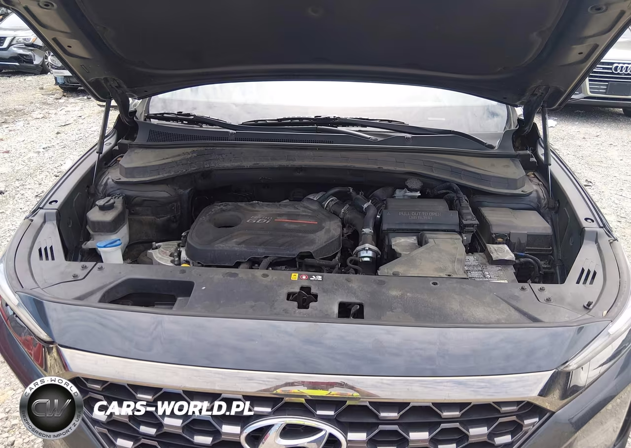 2020 Hyundai Santa Fe Limited 2.0T VIN:5NMS53AA3LH230011 - 10