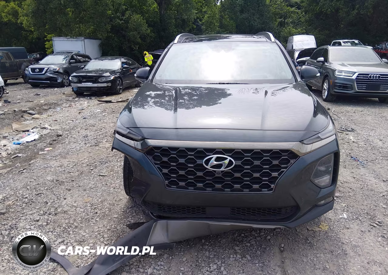 2020 Hyundai Santa Fe Limited 2.0T VIN:5NMS53AA3LH230011 - 12