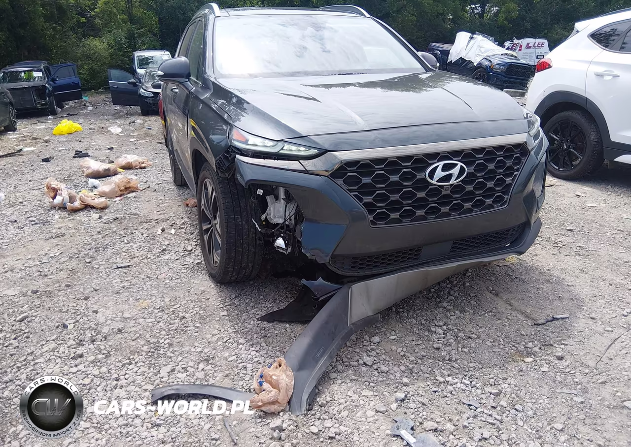 2020 Hyundai Santa Fe Limited 2.0T VIN:5NMS53AA3LH230011 - 6
