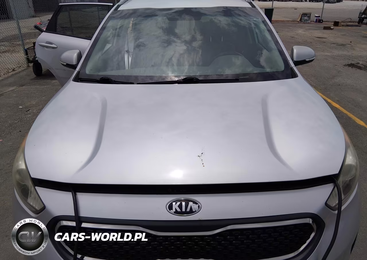 2017 Kia Niro Ex VIN:KNDCC3LC5H5037281 - 12