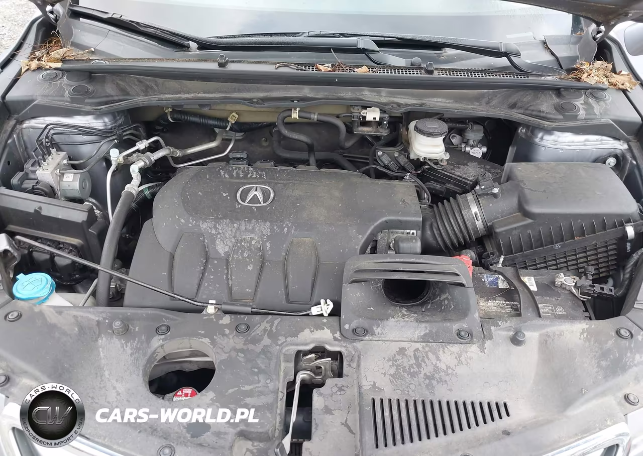 2015 Acura Rdx VIN:5J8TB4H59FL008637 - 10