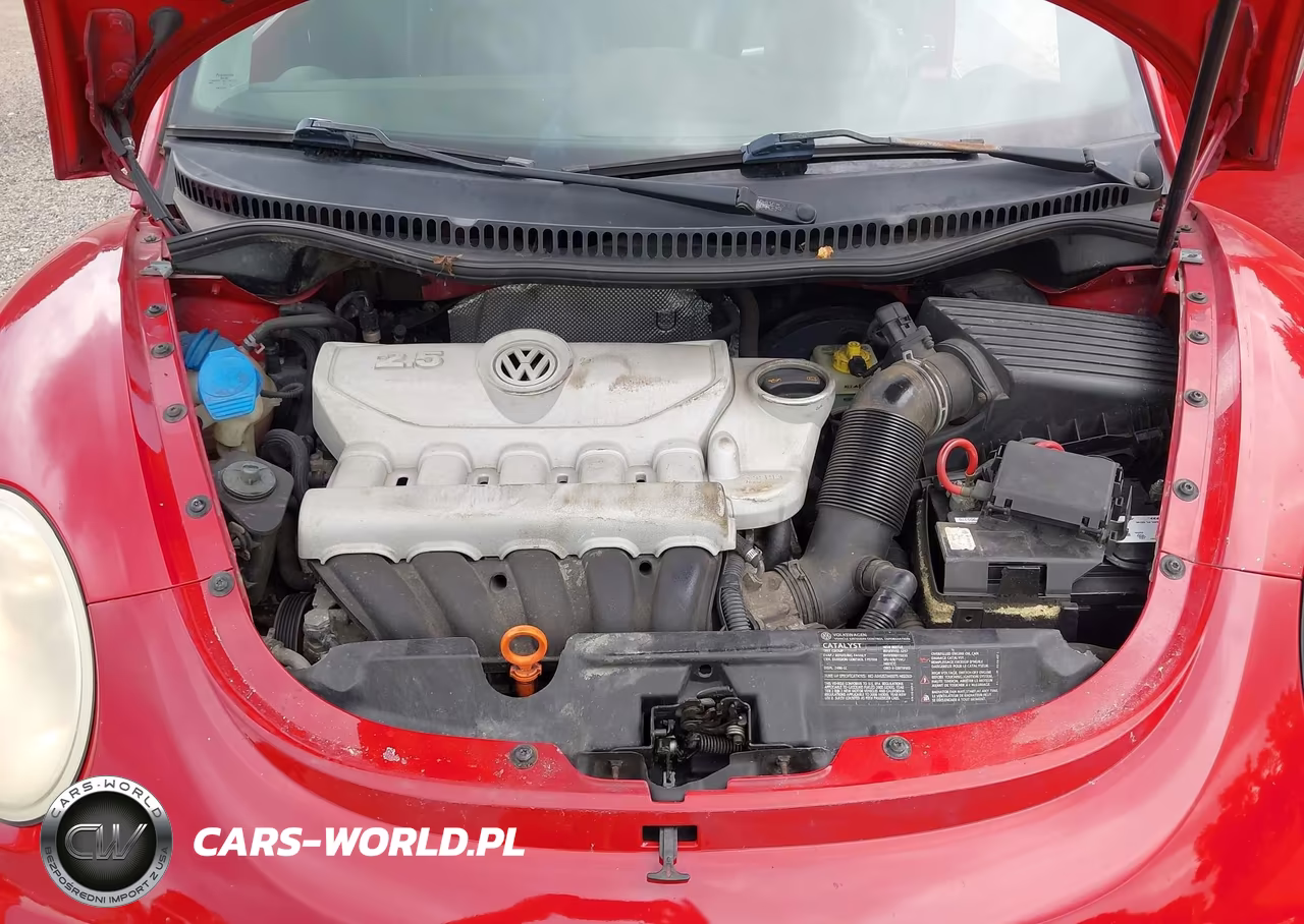 2008 Volkswagen New Beetle S VIN:3VWPG31C58M523394 - 10