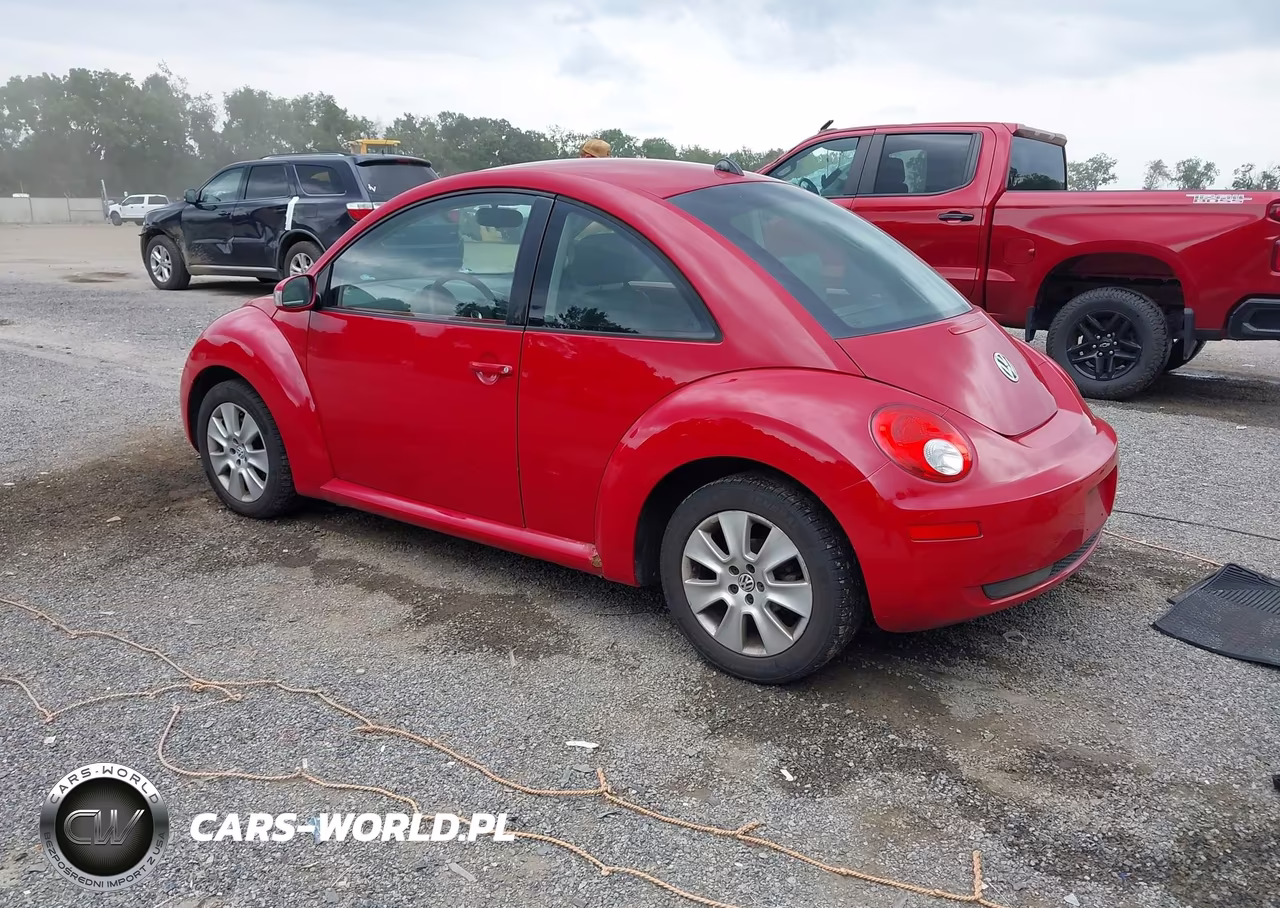 2008 Volkswagen New Beetle S VIN:3VWPG31C58M523394 - 3