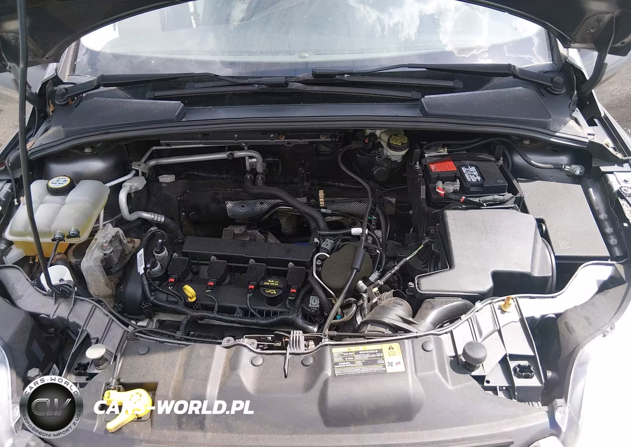 2013 Ford Focus Se VIN:1FADP3K28DL338463 - 10