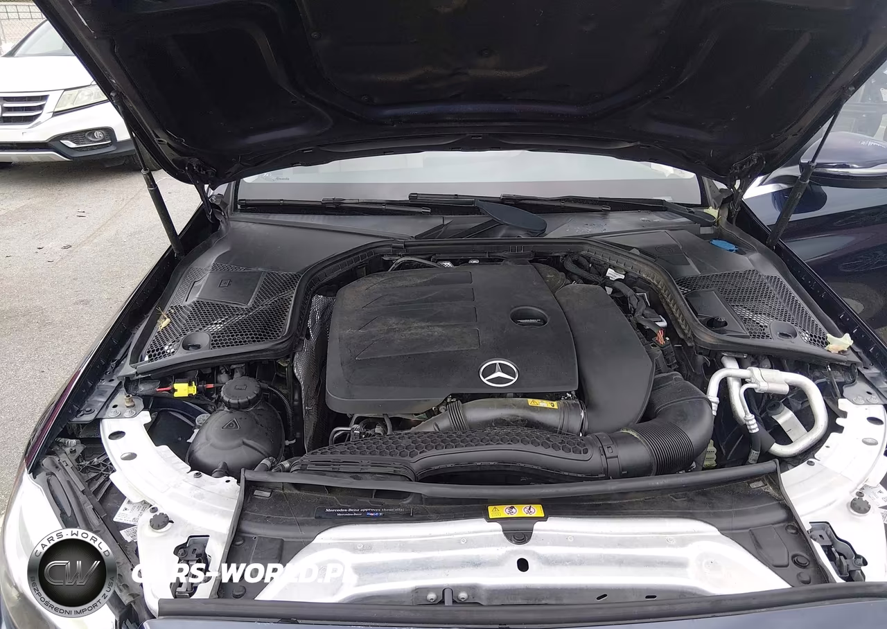 2019 Mercedes-Benz C 300 VIN:55SWF8DB3KU301741 - 10
