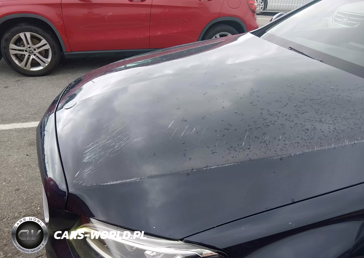 2019 Mercedes-Benz C 300 VIN:55SWF8DB3KU301741 - 6