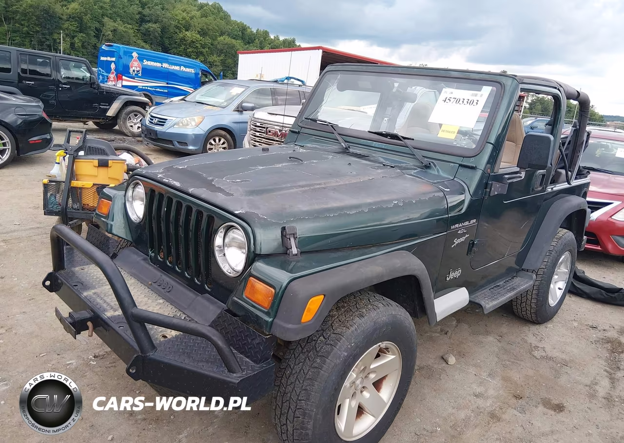 1999 Jeep Wrangler Sport VIN:1J4FY19S5XP492999 - 2