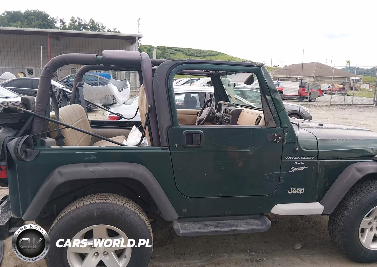 1999 Jeep Wrangler Sport VIN:1J4FY19S5XP492999 - 6