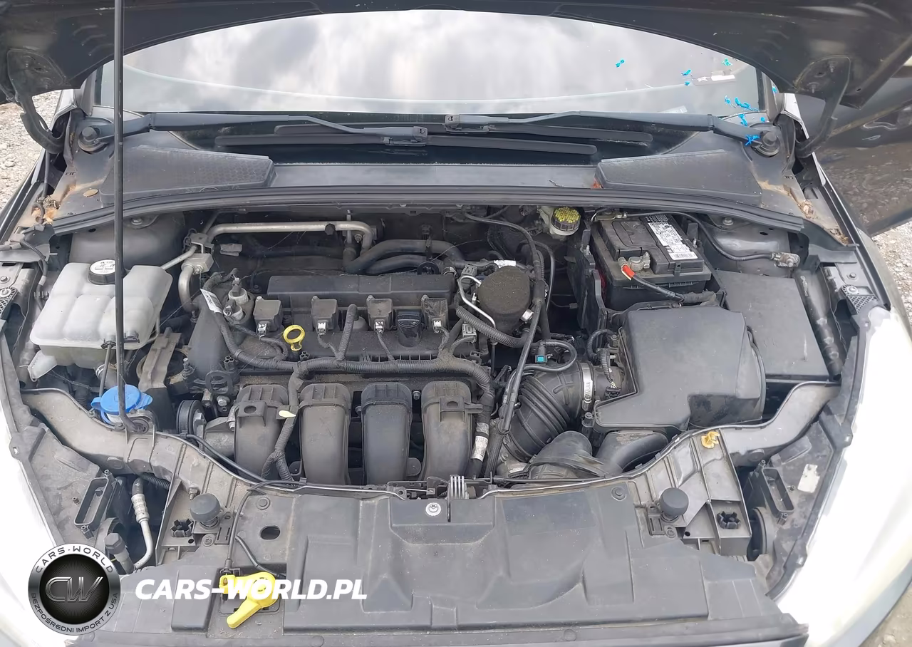 2015 Ford Focus Se VIN:1FADP3F22FL233527 - 10