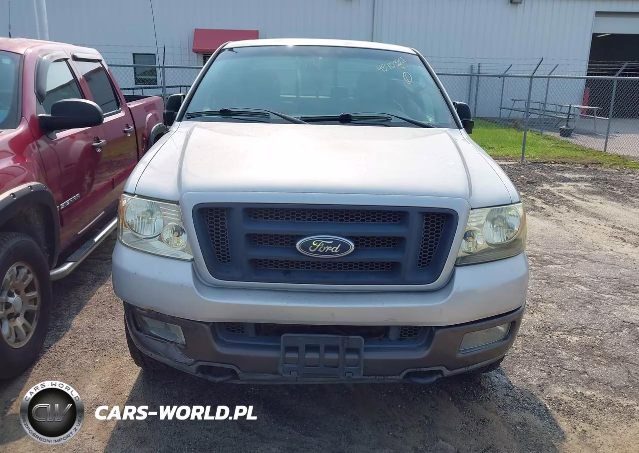 2004 Ford F-150 Fx4-Xlt VIN:1FTPX04554KB82594 - 16