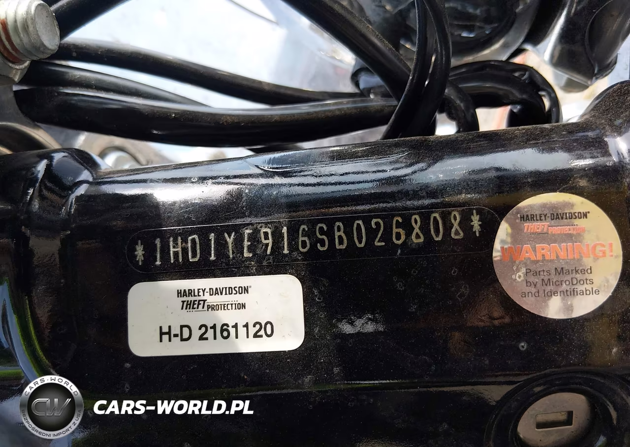 2025 Harley-Davidson Fxbr VIN:1HD1YE916SB026808 - 10