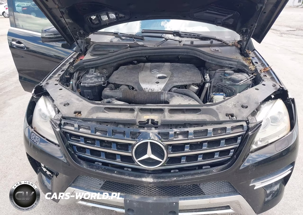 2015 Mercedes-Benz Ml 250 Bluetec 4Matic VIN:4JGDA0EB9FA484242 - 10