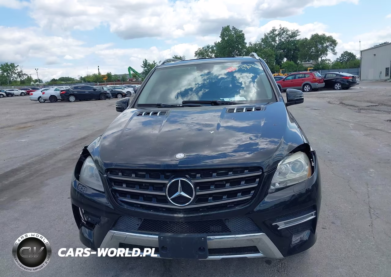 2015 Mercedes-Benz Ml 250 Bluetec 4Matic VIN:4JGDA0EB9FA484242 - 12