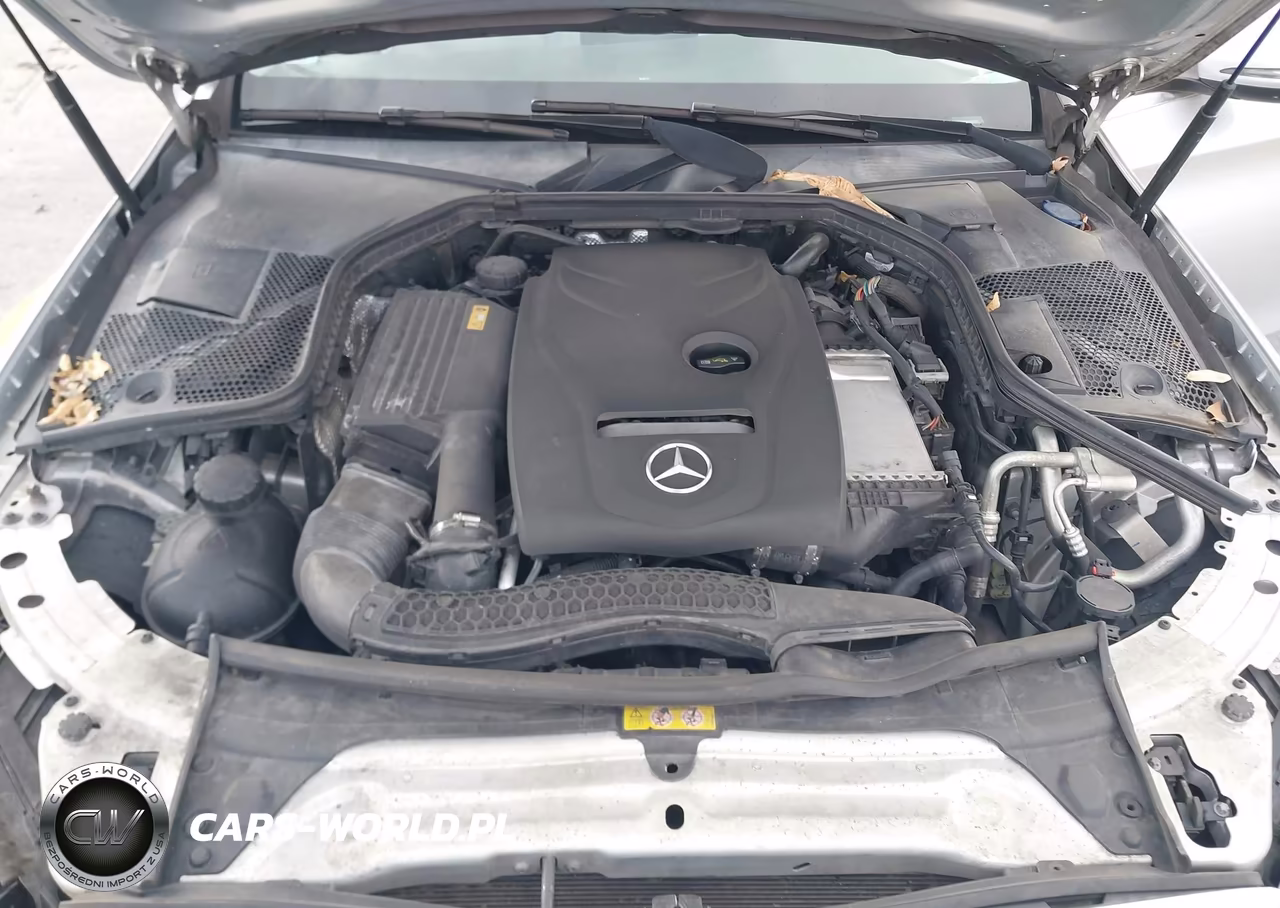 2017 Mercedes-Benz C 300 VIN:55SWF4JB6HU184145 - 10