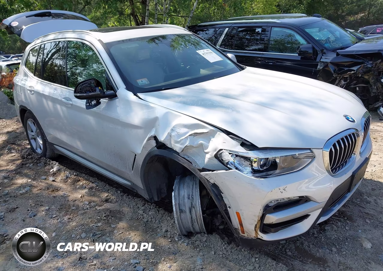 2019 BMW X3 xDrive30I – zdjęcie 1 z 17