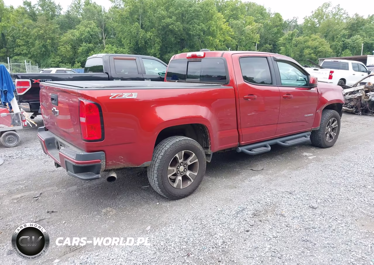 2016 Chevrolet Colorado 4Wd Z71 VIN:1GCGTDE33G1192471 - 4